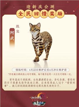 变天天龙八部私服